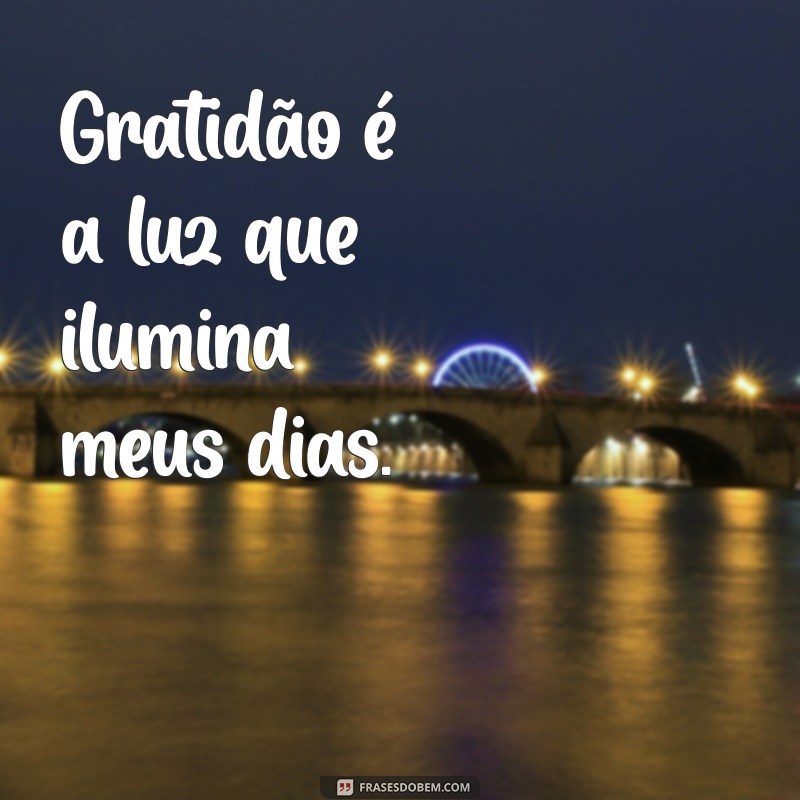 50 Frases Curtas de Gratidão para Inspirar Seu Dia 