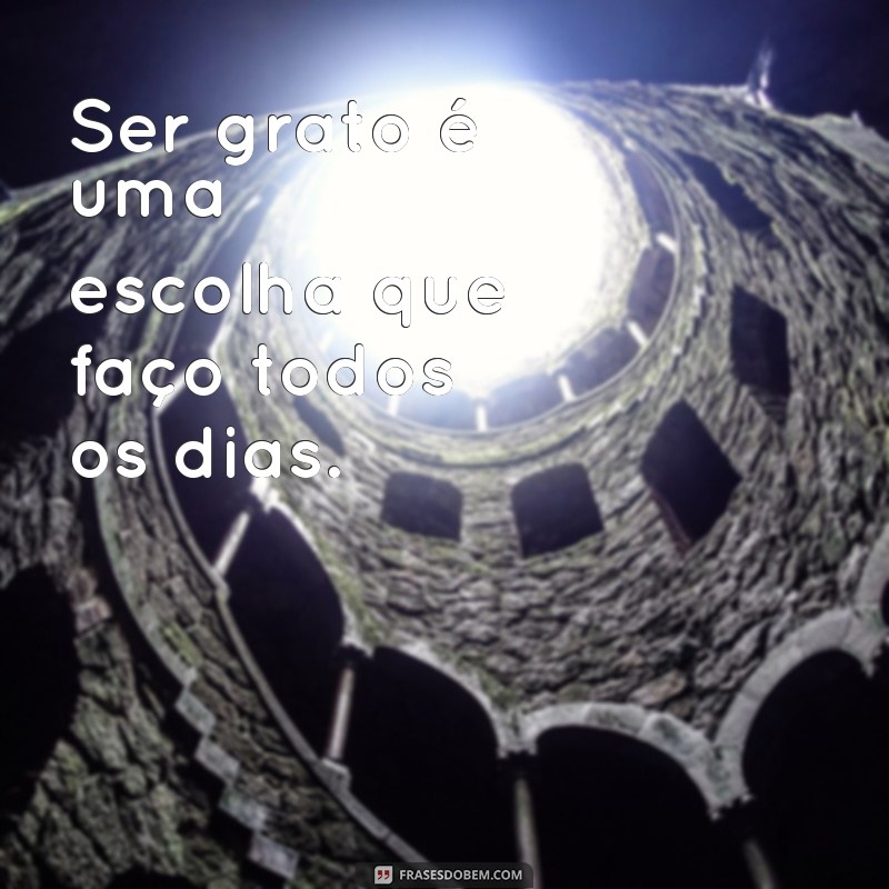 50 Frases Curtas de Gratidão para Inspirar Seu Dia 