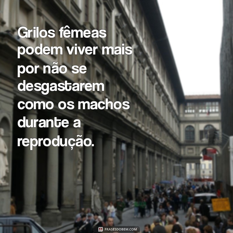 Descubra a Expectativa de Vida dos Grilos: Quanto Tempo Eles Vivem? 