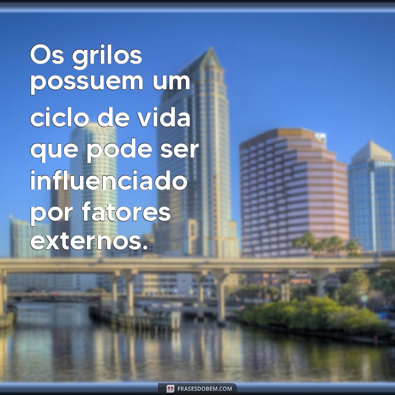 Descubra a Expectativa de Vida dos Grilos: Quanto Tempo Eles Vivem? 