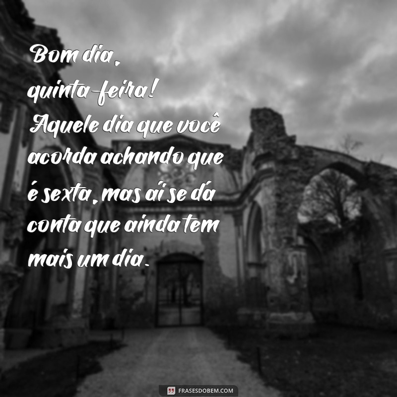 Divirta-se com as melhores frases engraçadas para começar a quinta-feira com bom humor! 