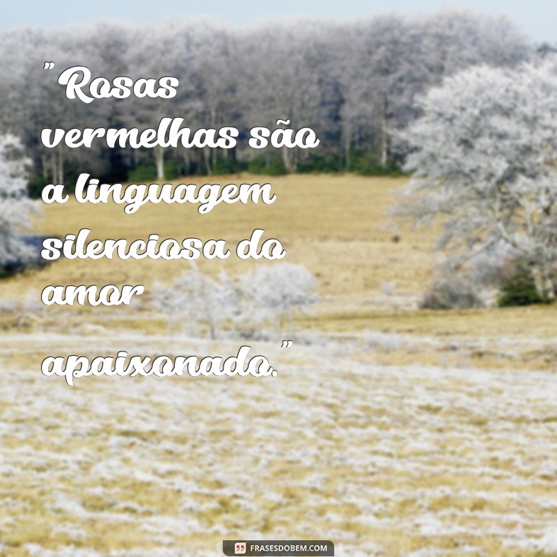 frases com rosas vermelhas 