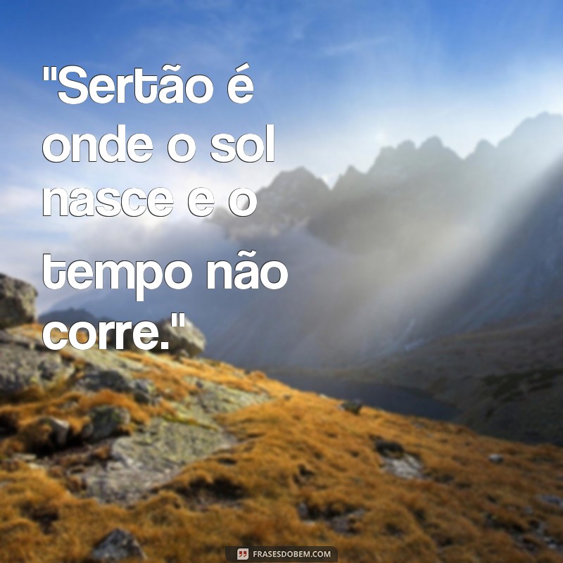 frases de sertão 