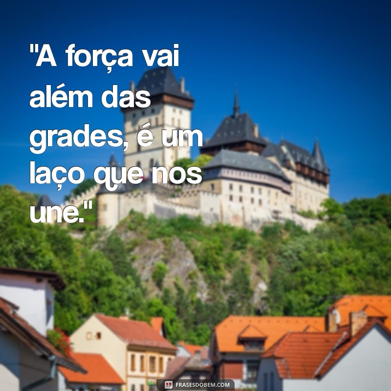 frases do pcc 