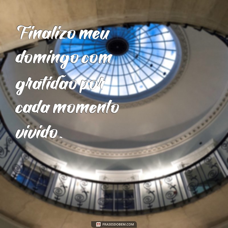 finalizo meu domingo Finalizo meu domingo com gratidão por cada momento vivido.