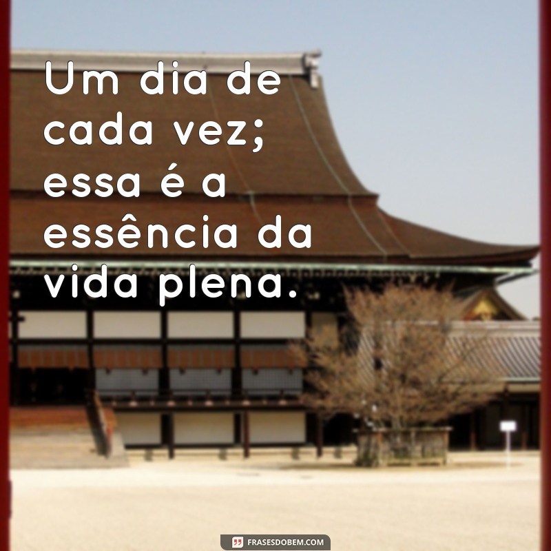 Frases Inspiradoras para Viver um Dia de Cada Vez 