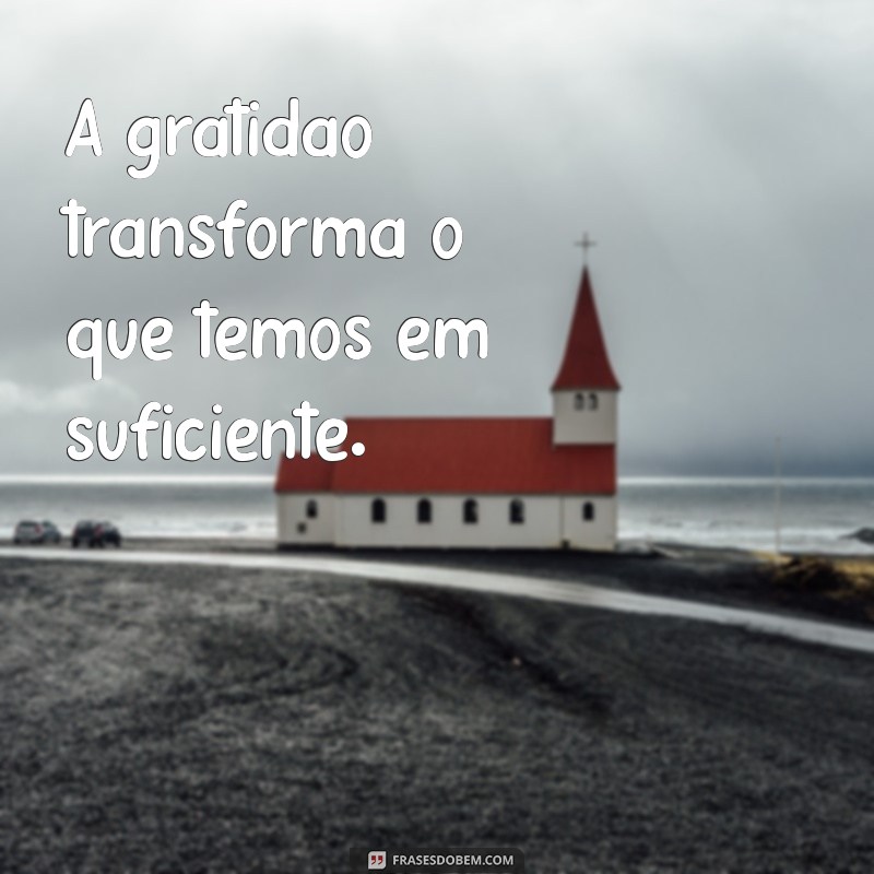 provérbios de gratidão A gratidão transforma o que temos em suficiente.