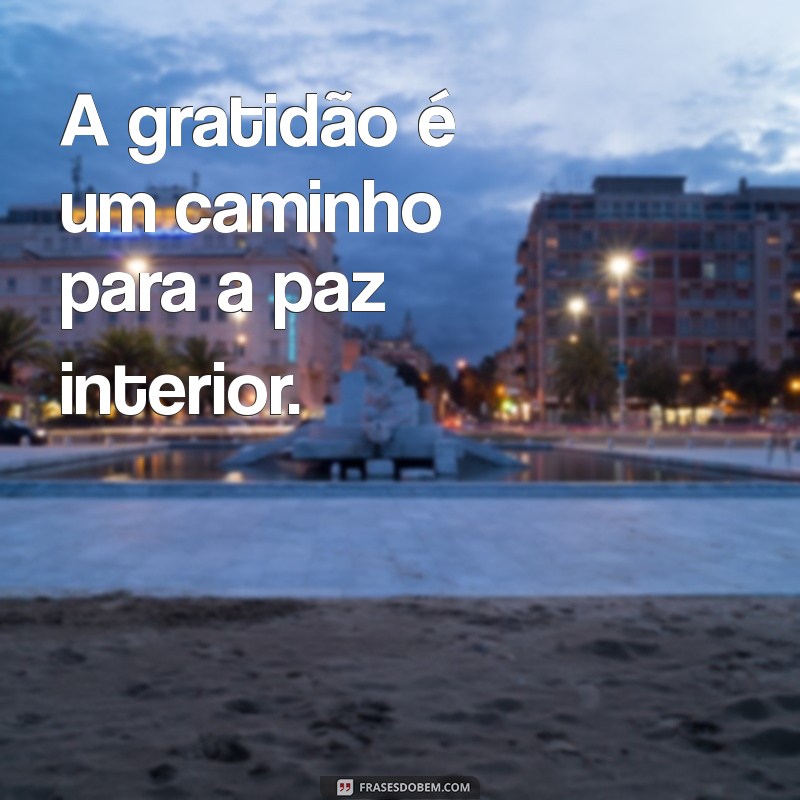 Frases Motivacionais de Gratidão: Inspire-se e Transforme Sua Vida 