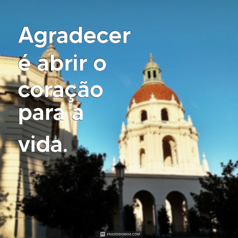 Frases Motivacionais de Gratidão: Inspire-se e Transforme Sua Vida 