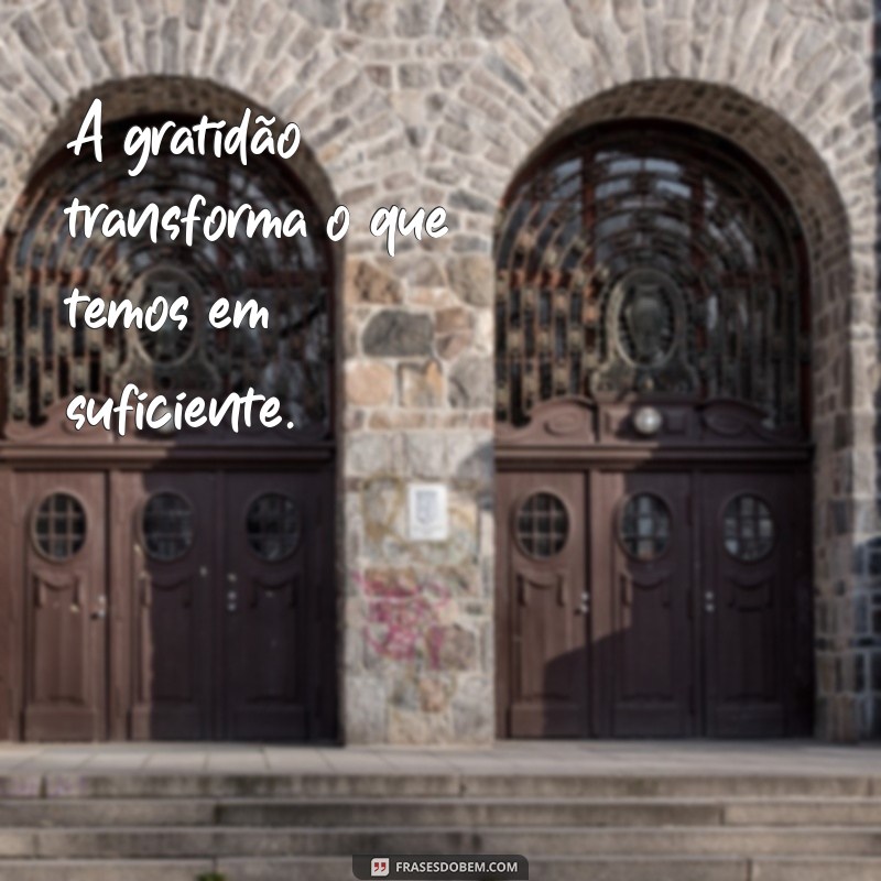 frases motivacional gratidão A gratidão transforma o que temos em suficiente.