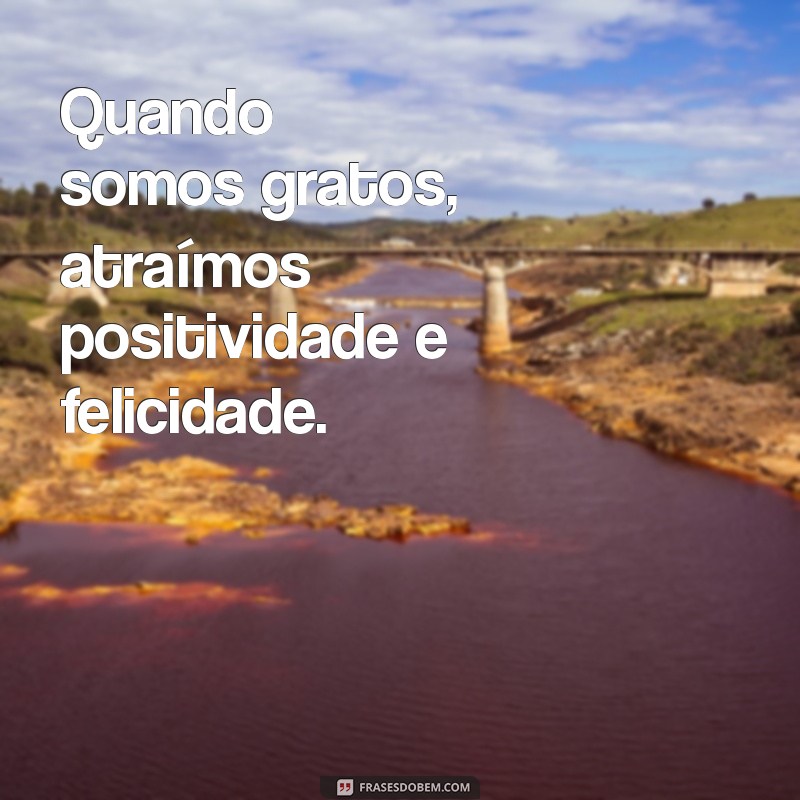 Frases Motivacionais de Gratidão: Inspire-se e Transforme Sua Vida 