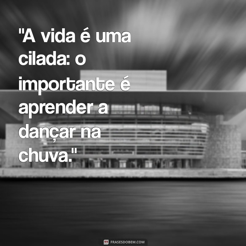 cilada.com 