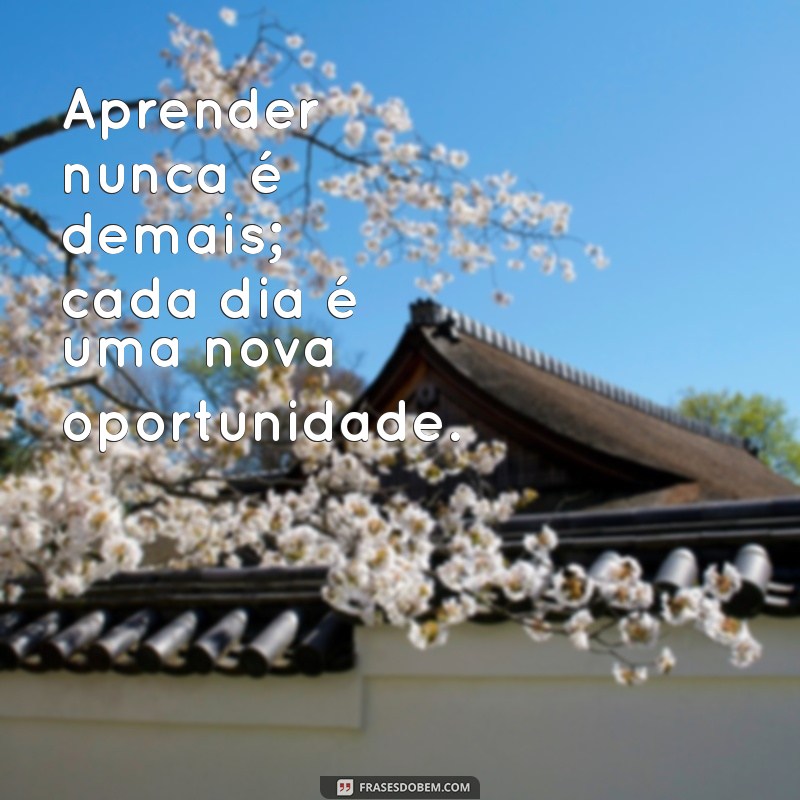 frases aprender sempre Aprender nunca é demais; cada dia é uma nova oportunidade.