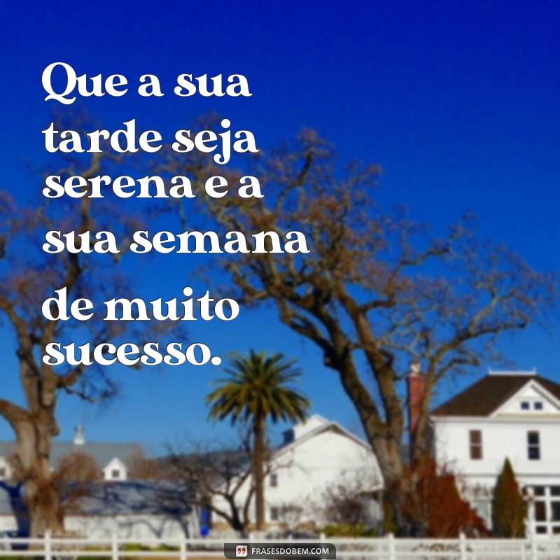 Descubra as melhores frases para desejar uma boa tarde e uma ótima semana! 