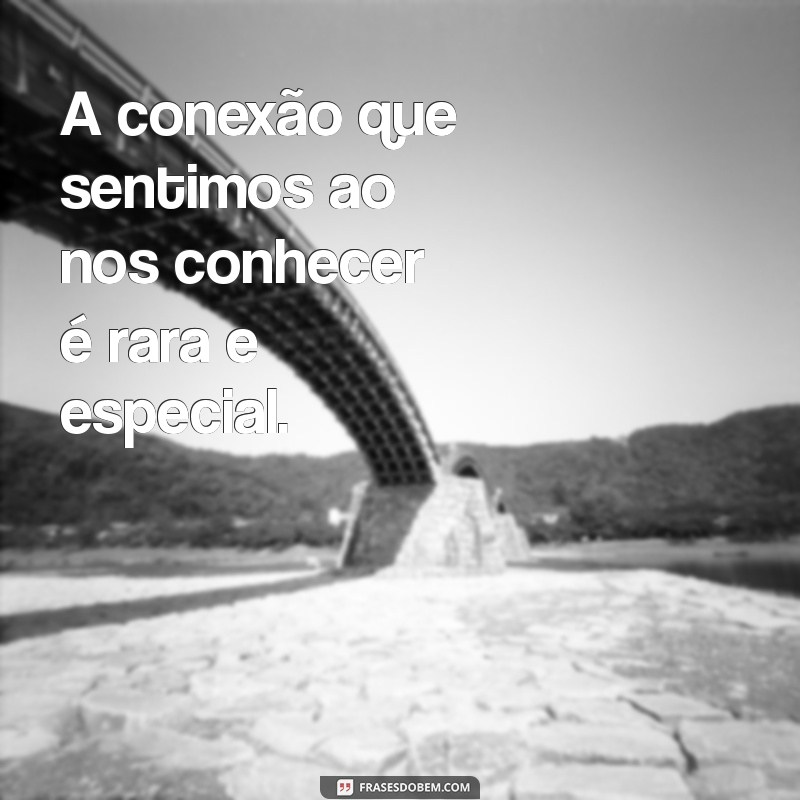 Frases Inspiradoras para Expressar Amei Te Conhecer 