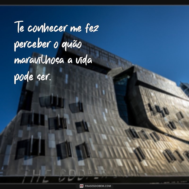 Frases Inspiradoras para Expressar Amei Te Conhecer 