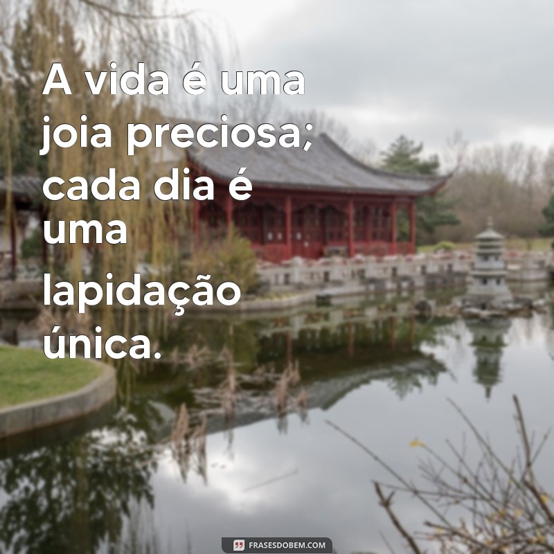 frases joia A vida é uma joia preciosa; cada dia é uma lapidação única.