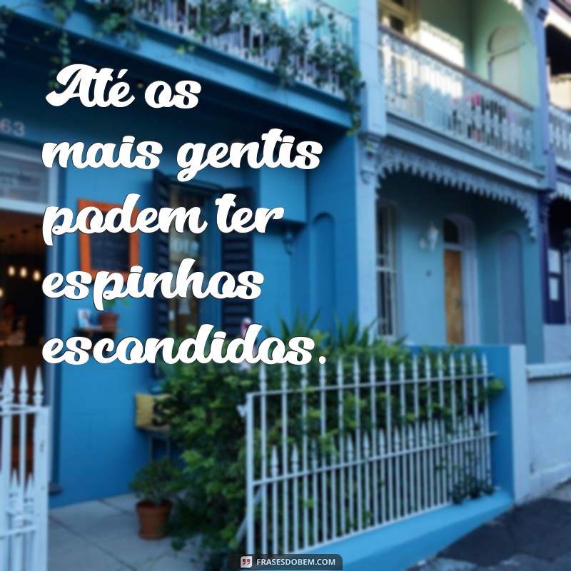 Frases Inspiradoras para se Proteger da Maldade de Pessoas Boas 