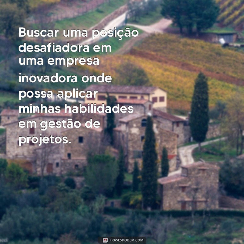 objetivo empresa exemplo currículo Buscar uma posição desafiadora em uma empresa inovadora onde possa aplicar minhas habilidades em gestão de projetos.