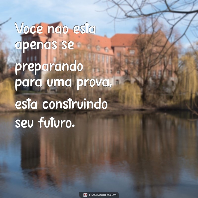 Frases Motivacionais para Concurseiros: Inspire-se e Aumente sua Performance nos Estudos 