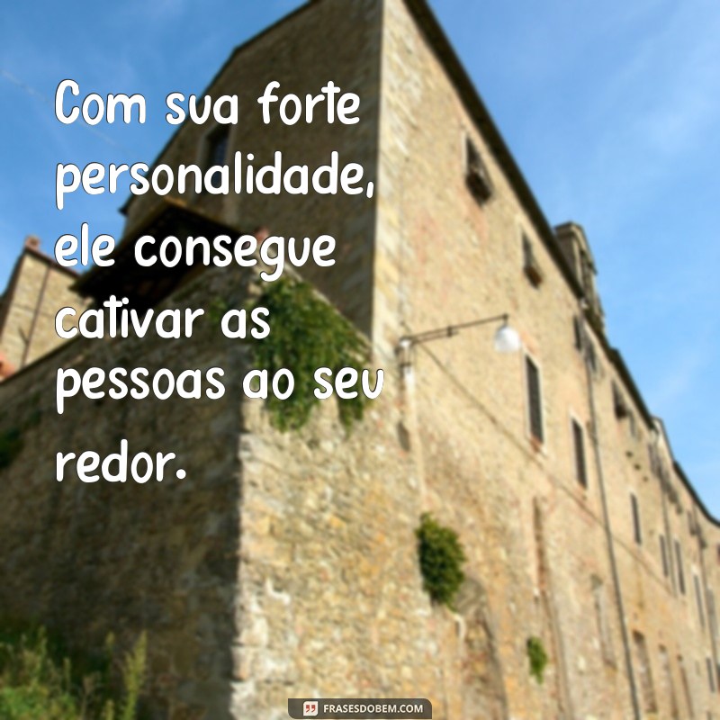 Descubra as melhores frases que definem a personalidade forte e cativante do signo de Leão 