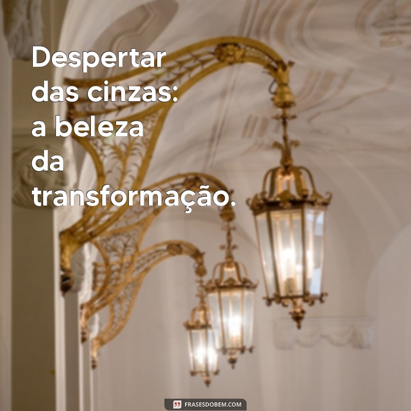 Transforme Seu Status com Mensagens Inspiradoras da Fênix 