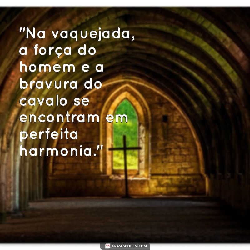 frases para vaquejada 