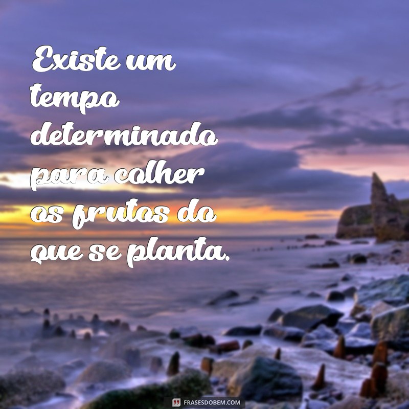 existe um tempo determinado Existe um tempo determinado para colher os frutos do que se planta.