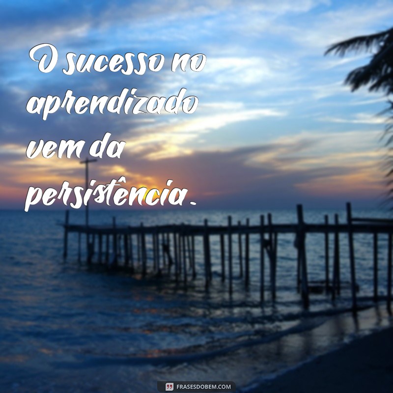 Frases Inspiradoras para Potencializar Seu Estudo e Aumentar a Produtividade 