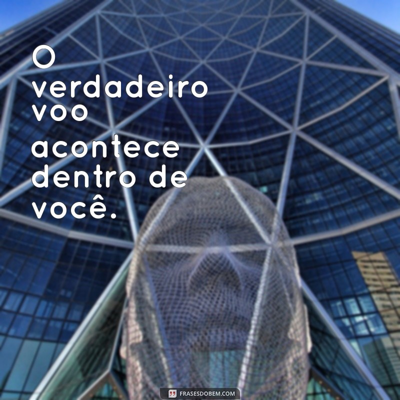 Frases Curtas Inspiradoras sobre Voar: Liberdade e Sonhos nas Palavras 