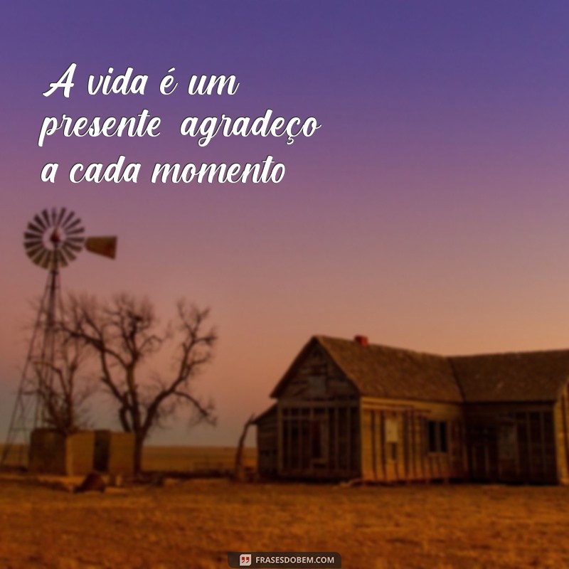 Frases Católicas Inspiradoras para Transformar sua Biografia do Instagram 