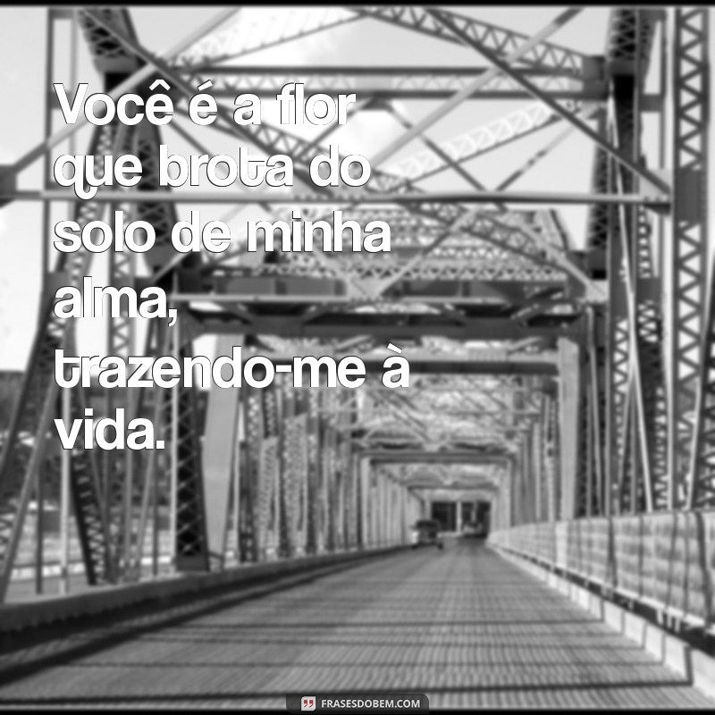 Relações de Mãe e Filho: O Ciclo de Vida e Renascimento Emocional 