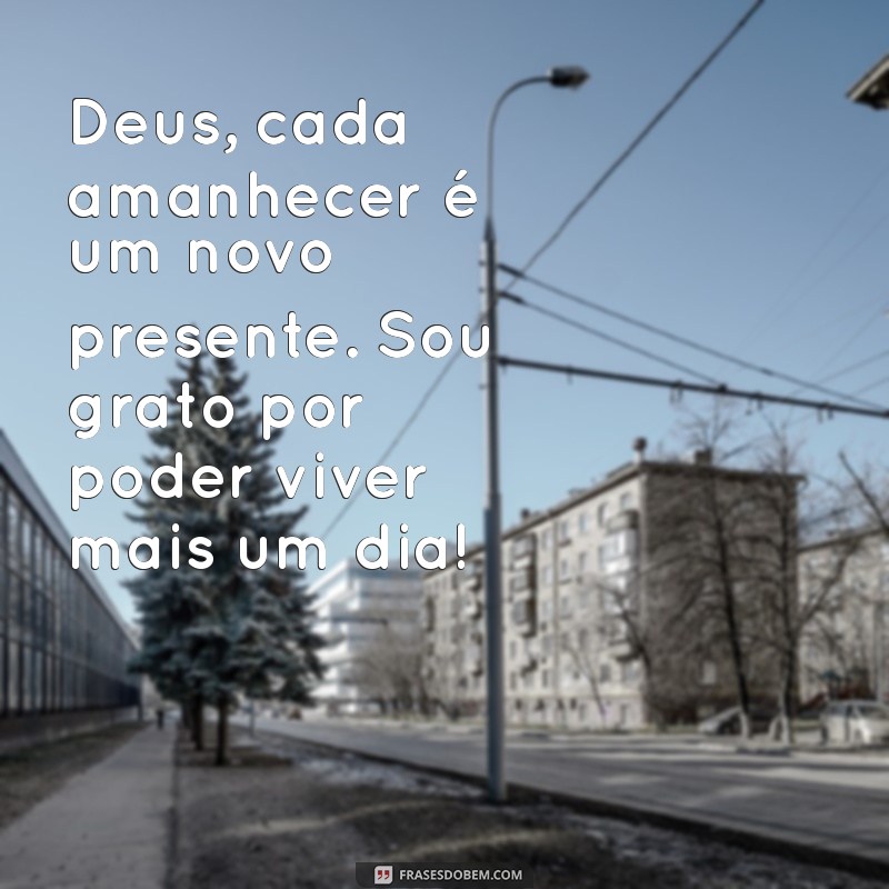 Status de Gratidão a Deus: Mensagens Inspiradoras para Compartilhar 