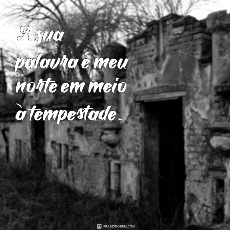 Frases Inspiradoras do Salmo 91 para Proteção e Conforto 