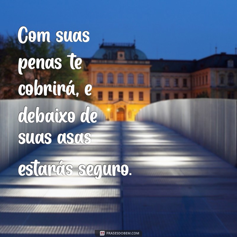 Frases Inspiradoras do Salmo 91 para Proteção e Conforto 