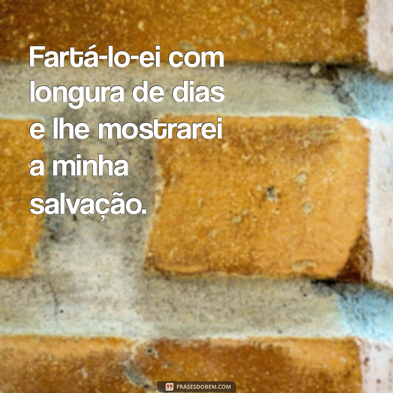 Frases Inspiradoras do Salmo 91 para Proteção e Conforto 