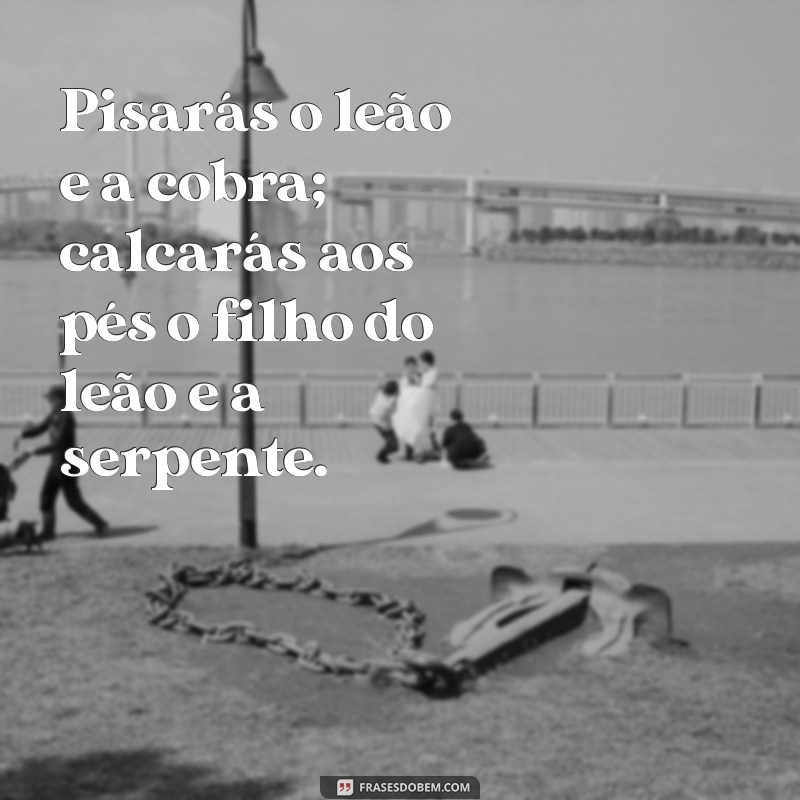 Frases Inspiradoras do Salmo 91 para Proteção e Conforto 