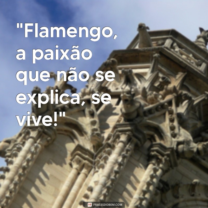 frases flamengo 