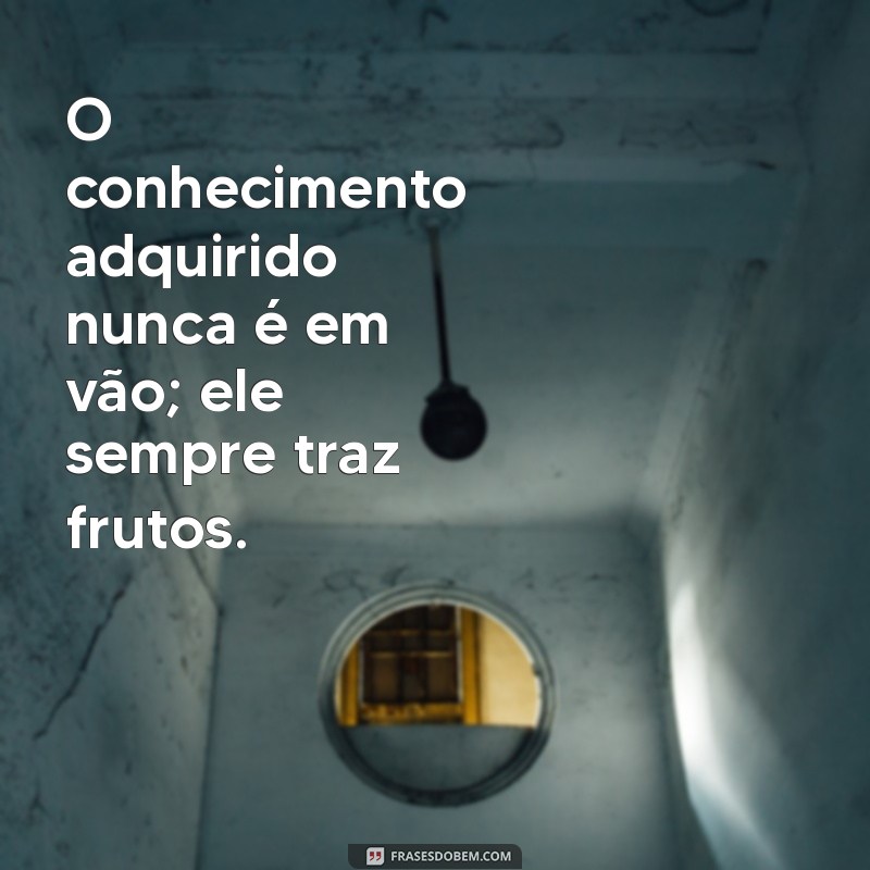 Frases Inspiradoras para Potencializar sua Capacitação Profissional 