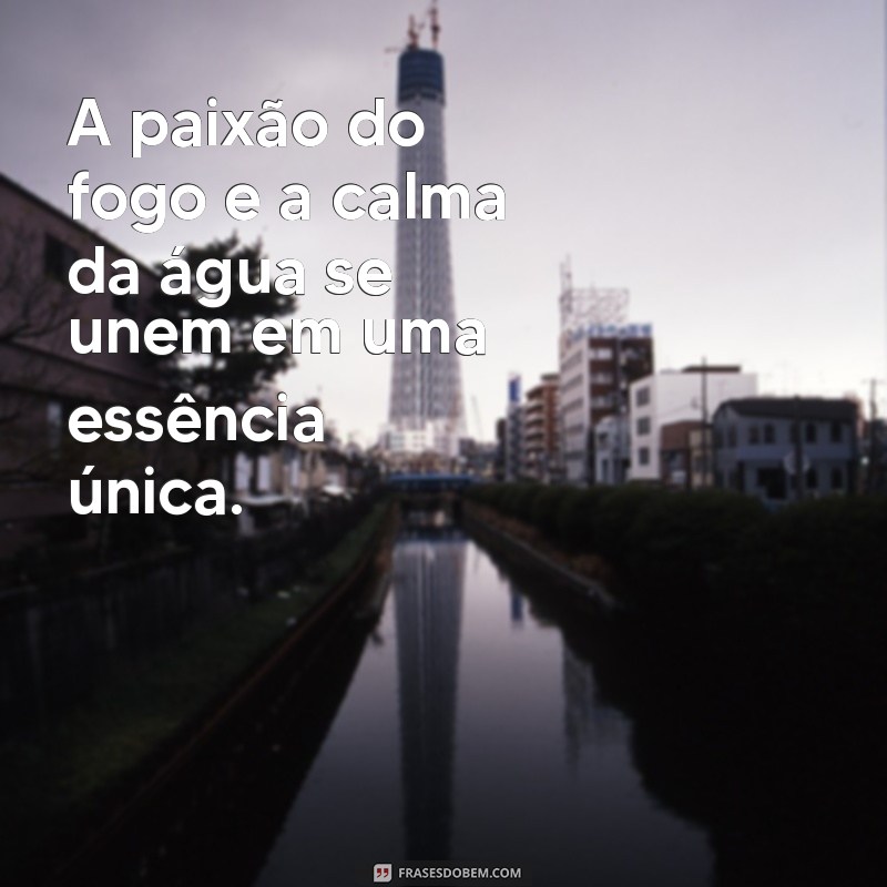 Frases Inspiradoras: A Magia dos Opostos se Atraem 