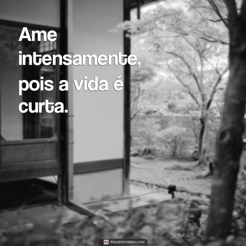 Frases Curtas para Reflexão: Inspirações para a Vida 