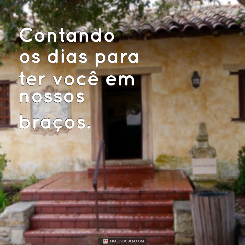 Frases Inspiradoras para Celebrar a Gravidez da Sua Esposa em Fotos 