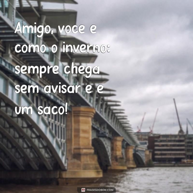 As Melhores Frases Engraçadas para Zoar Seus Amigos 