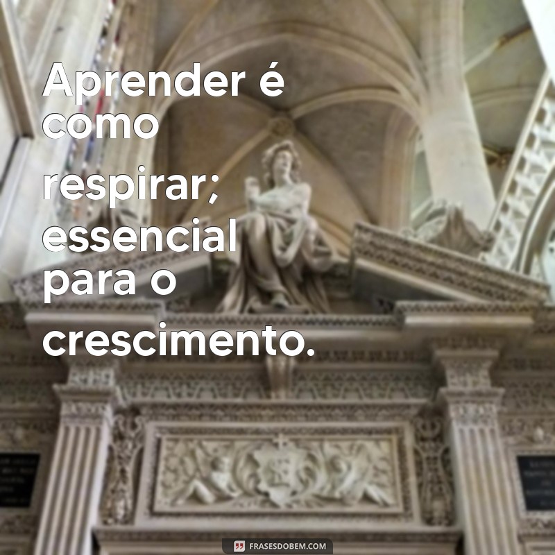 Frases Inspiradoras sobre Aprendizado e Conhecimento para Transformar sua Vida 