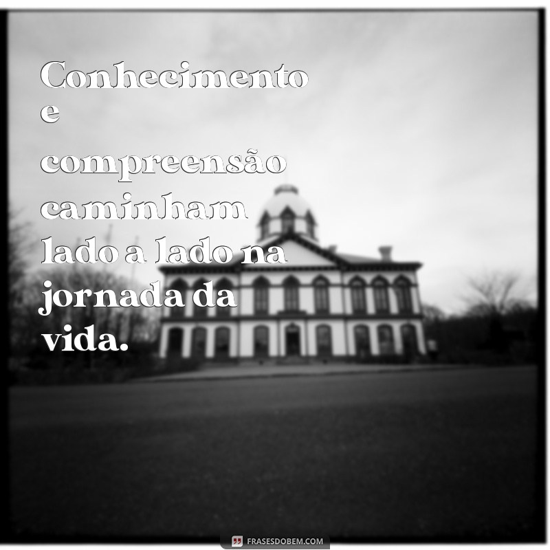 Frases Inspiradoras sobre Aprendizado e Conhecimento para Transformar sua Vida 