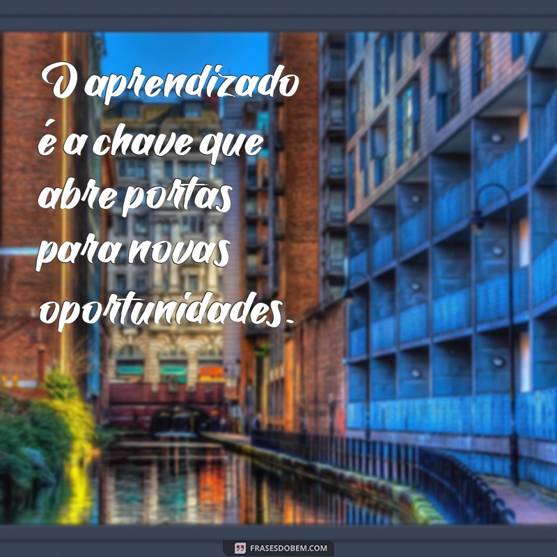 frases sobre aprendizado e conhecimento O aprendizado é a chave que abre portas para novas oportunidades.