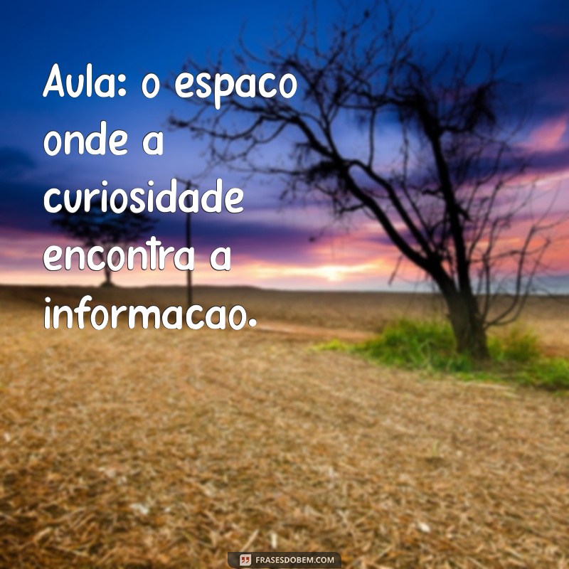 Guia Completo: Tudo que Você Precisa Saber Sobre Aulas 