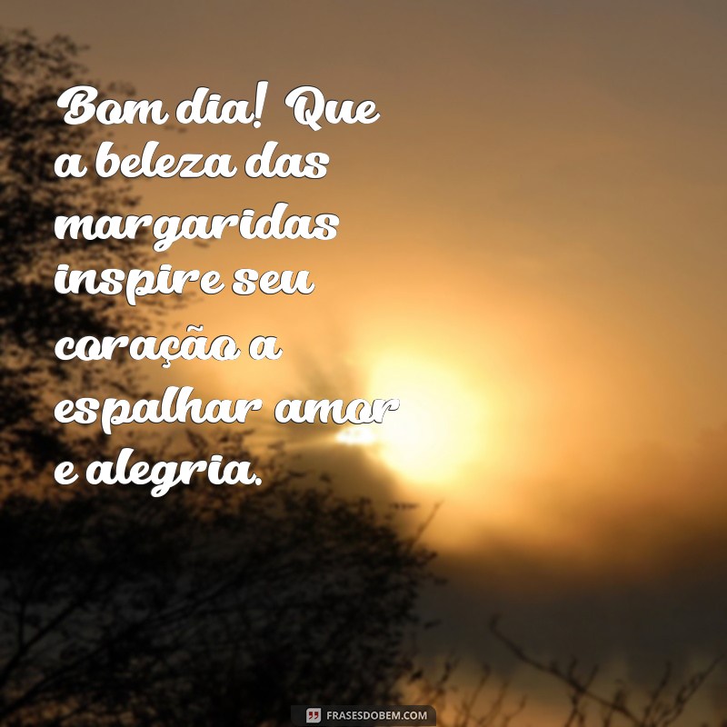 Bom Dia! Inspire-se com Mensagens Encantadoras de Campos de Margaridas 