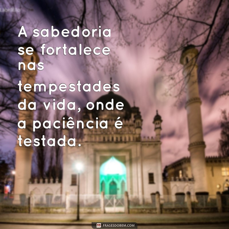 Frases Inspiradoras de Sabedoria e Paciência para Refletir e Crescer 