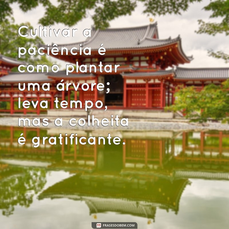 Frases Inspiradoras de Sabedoria e Paciência para Refletir e Crescer 